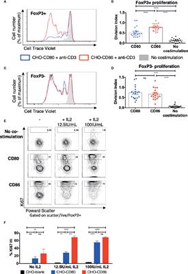 CD86 Is a Selective CD28 Ligand Supporting FoxP3+ Regulatory T Cell Homeostasis in the Presence of High Levels of CTLA-4